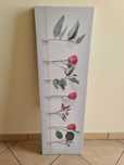 Tela Quadro Moldura Rosas Roses 97x30cm Frame