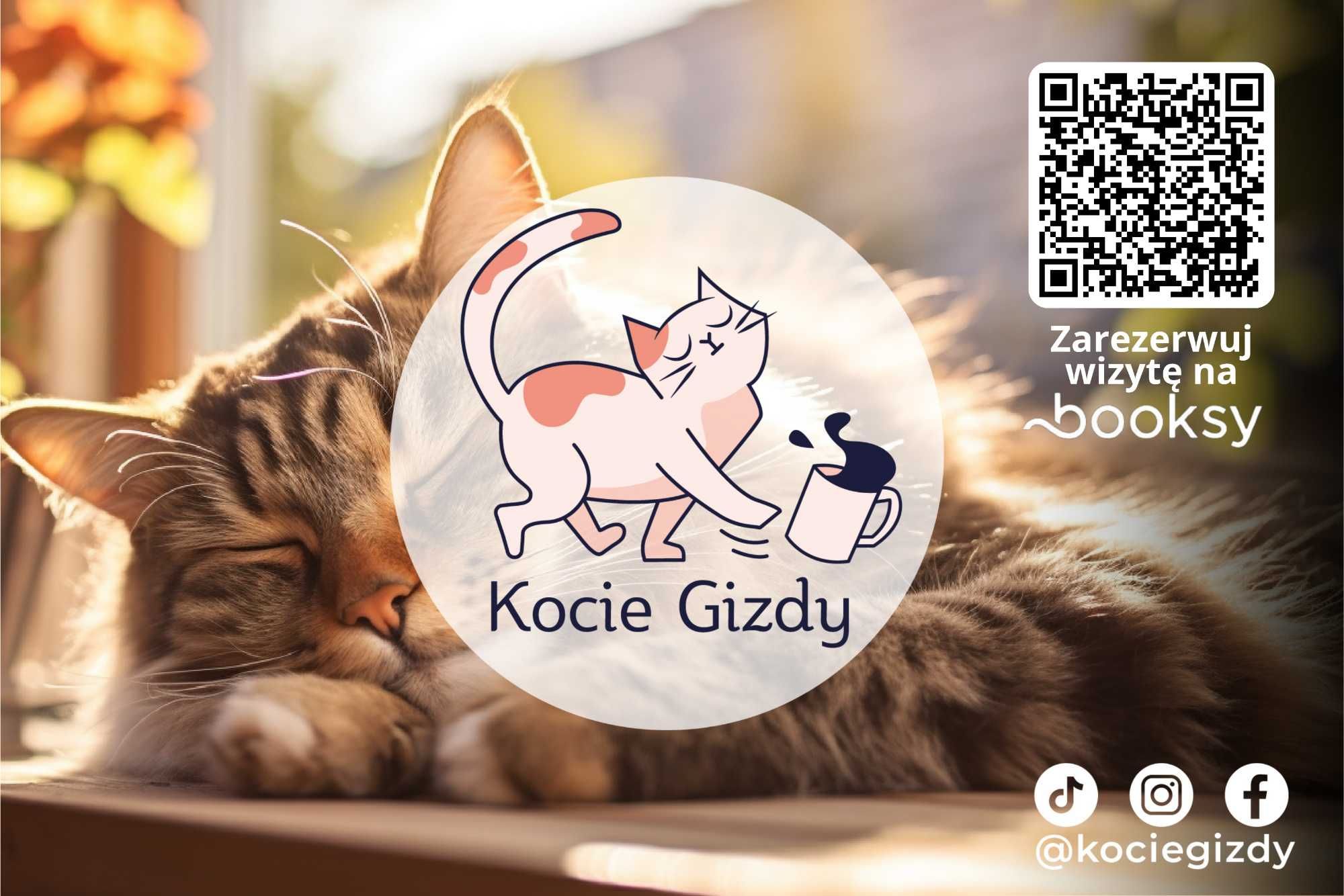 Behawiorysta kotów dietetyk kotów zoodietetyk
