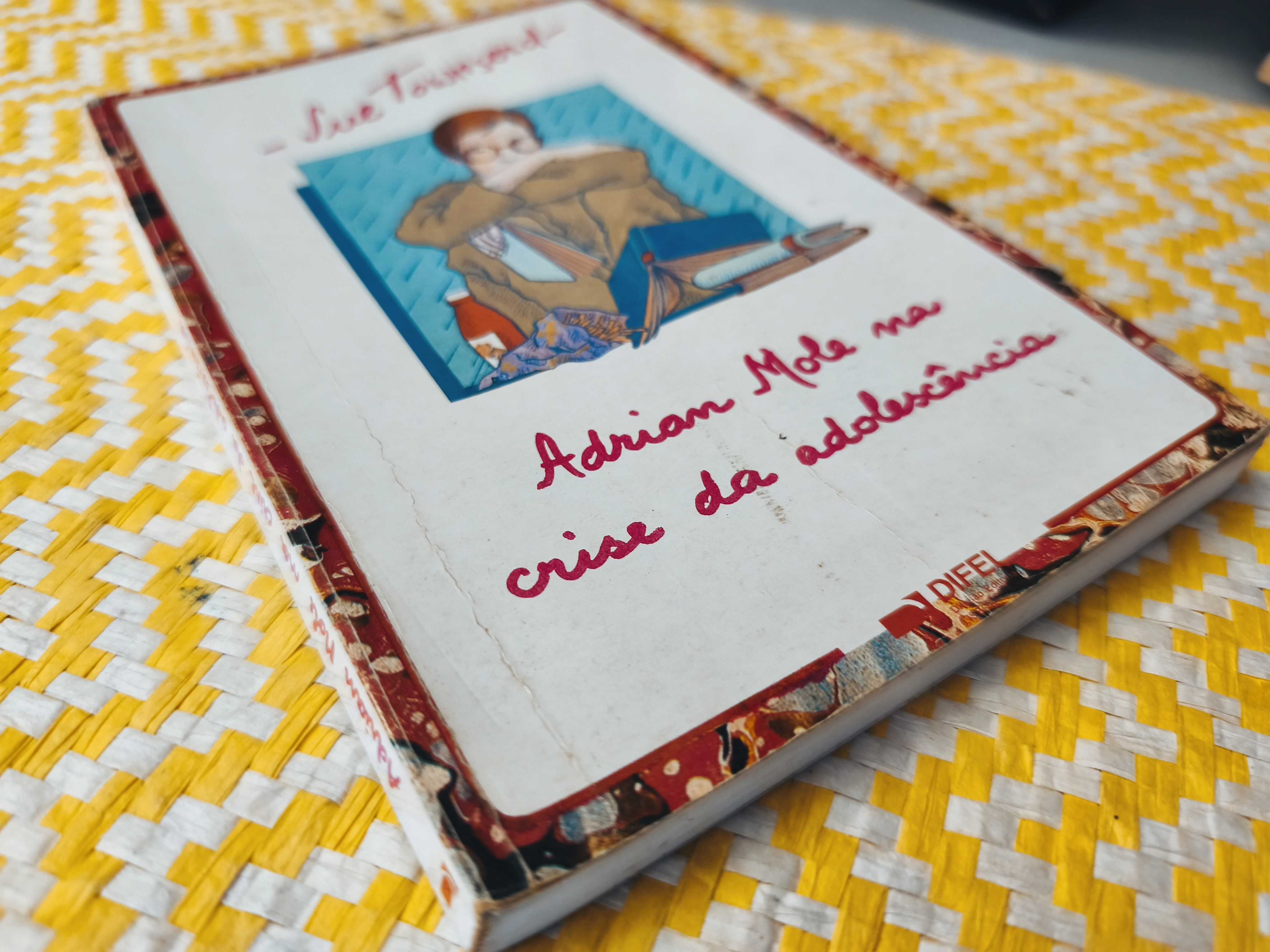 Adrian Mole na crise da adolescência – 
Sue Townserd
