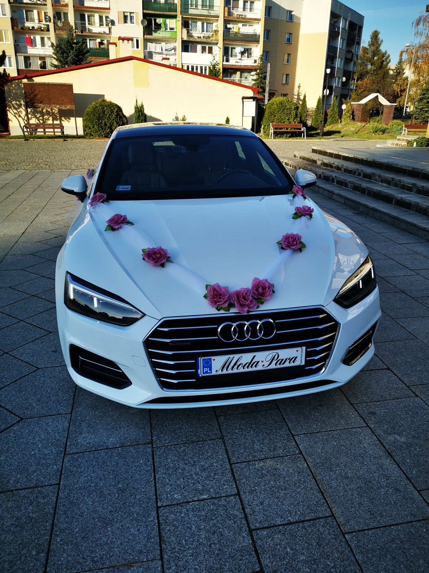Auto do Ślubu Audi