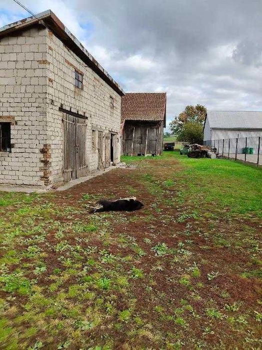 Dom jednorodzinny wraz z zabudową gospodarczą