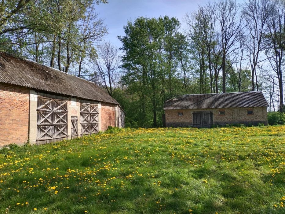 Obniżka ceny Dom z działką 5408 m2 i z budynkami okolice Szepietowa
