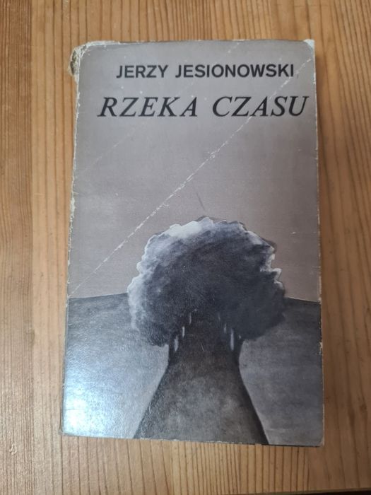 Rzeka czasu - Jerzy Jesionowski
