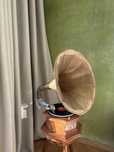 Індійський грамофон «His master’s voice»