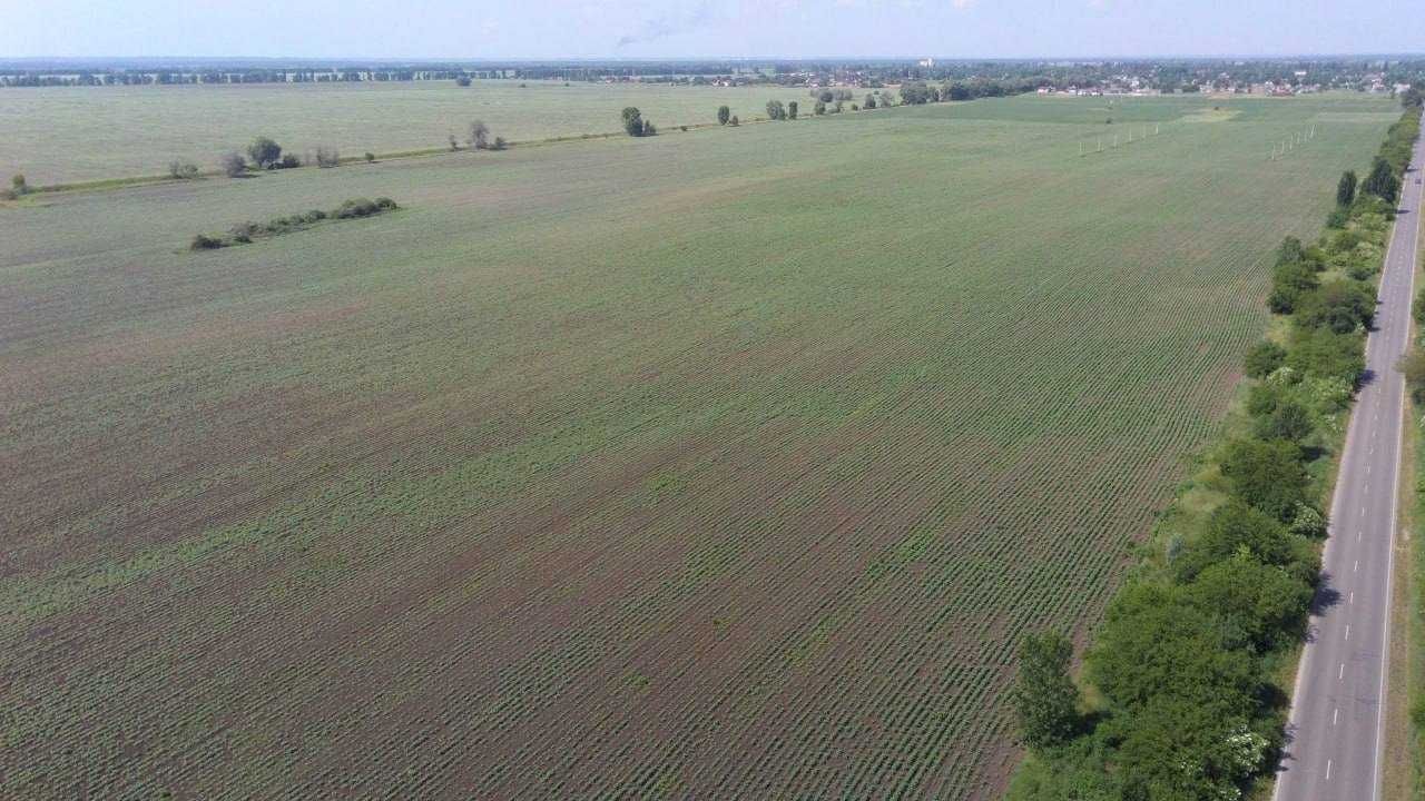 Земельні ділянки під ОСГ або забудову між селами Глибоке-Городище