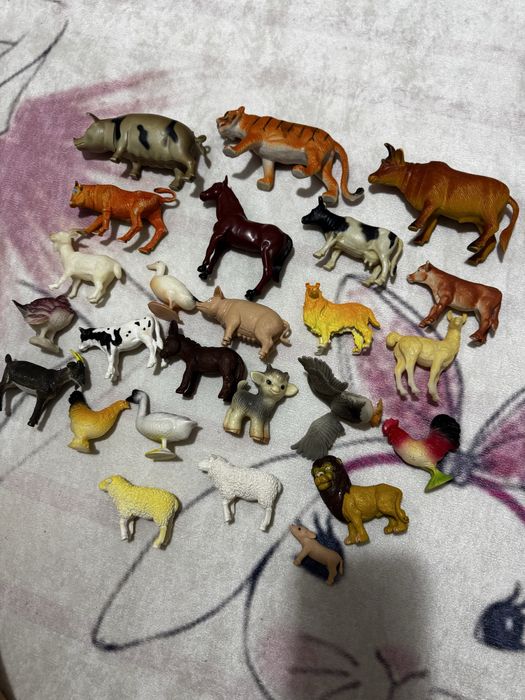 Колекція звірів зоопарк