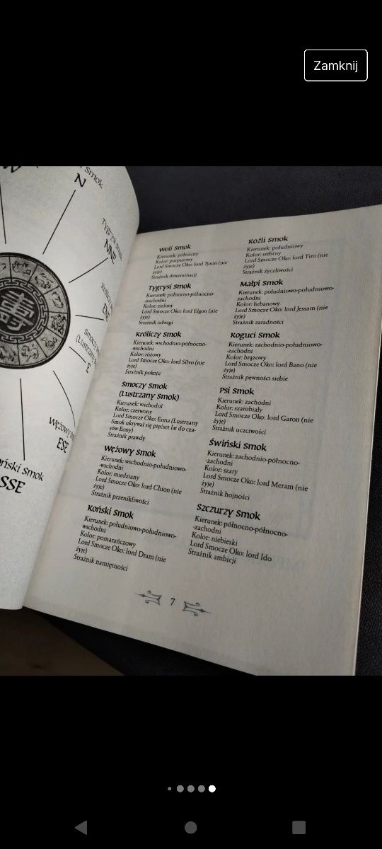 Eona ostatni lord . Powieść Alison Goodman
