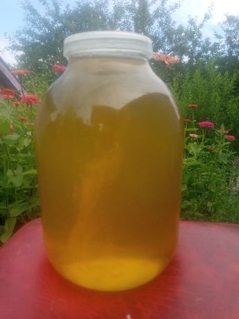 Продається екологічно чистий мед з липи
