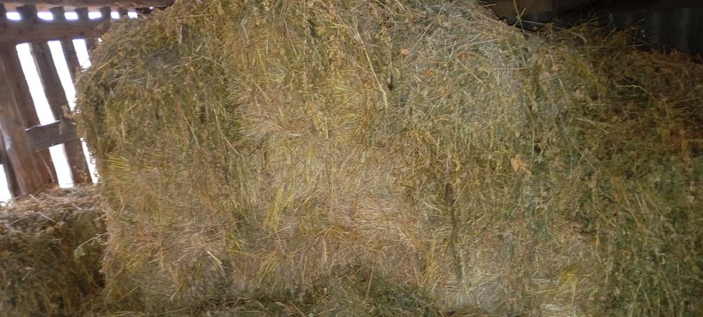 Продам сіно ціна договірна