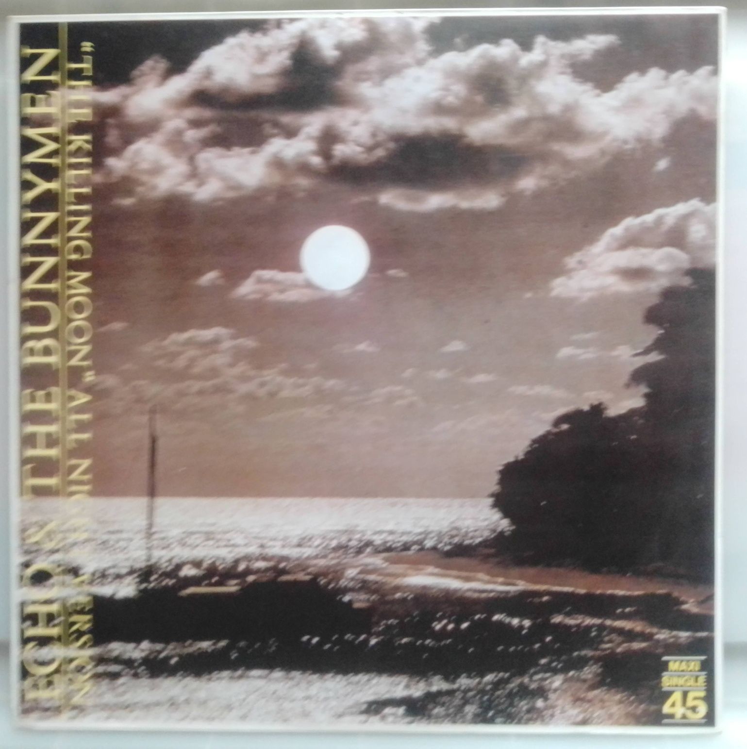 Vinil Maxi Single Echo & The Bunnymen