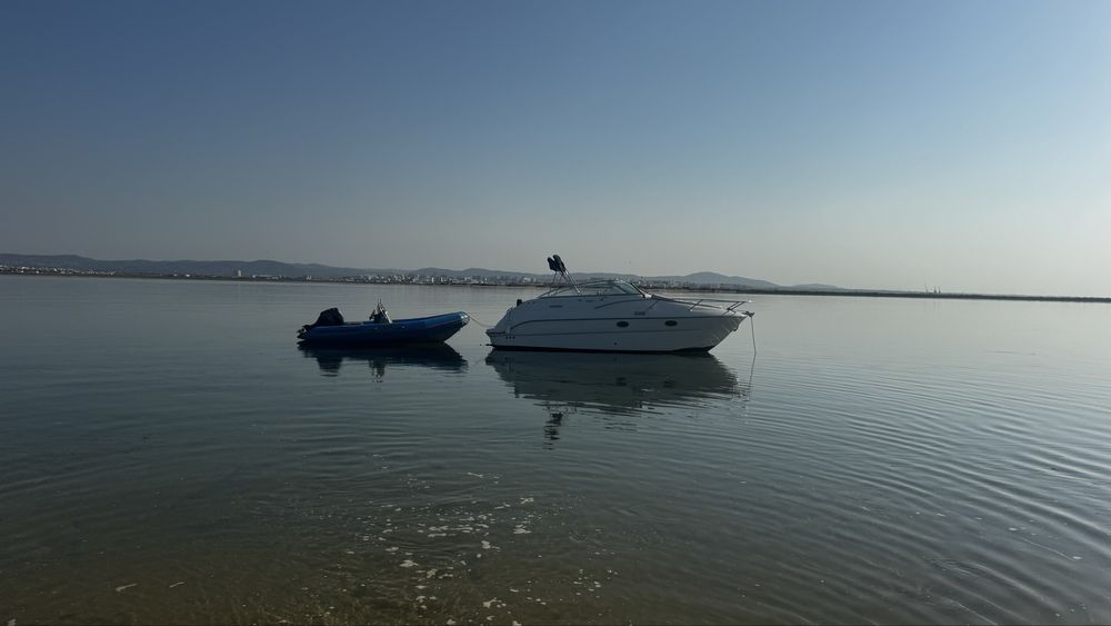 Sessa oyster 25