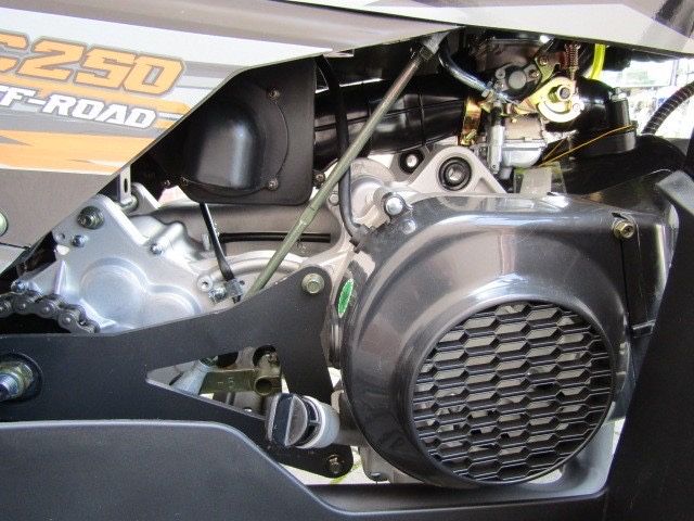 квадроцикл FORTE AFC 250PRO
