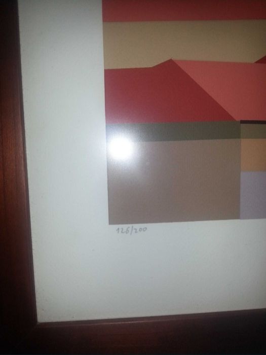 Serigrafia Silva Palmeira