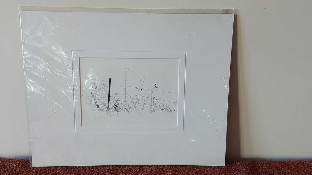 Allan Manus – „Winter Fence” (fotografia artystyczna, 2005)