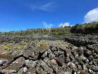 Terreno à venda em Candelária, Madalena do Pico