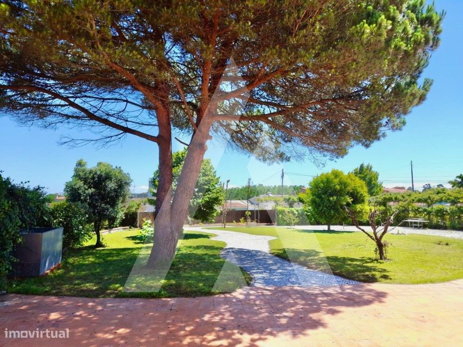 Moradia T4 em Ílhavo, Légua.