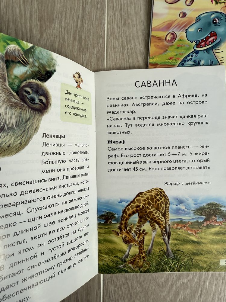 Міні- книжки, РАНОК