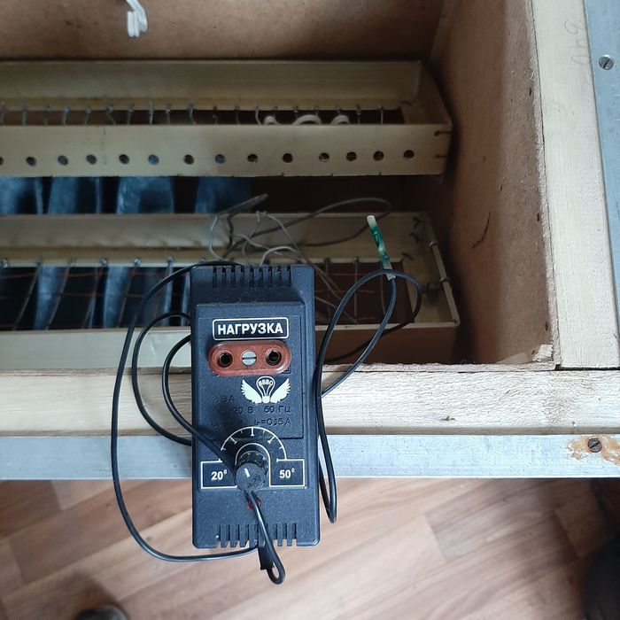 Інкубатор на 50 гусиних яєць