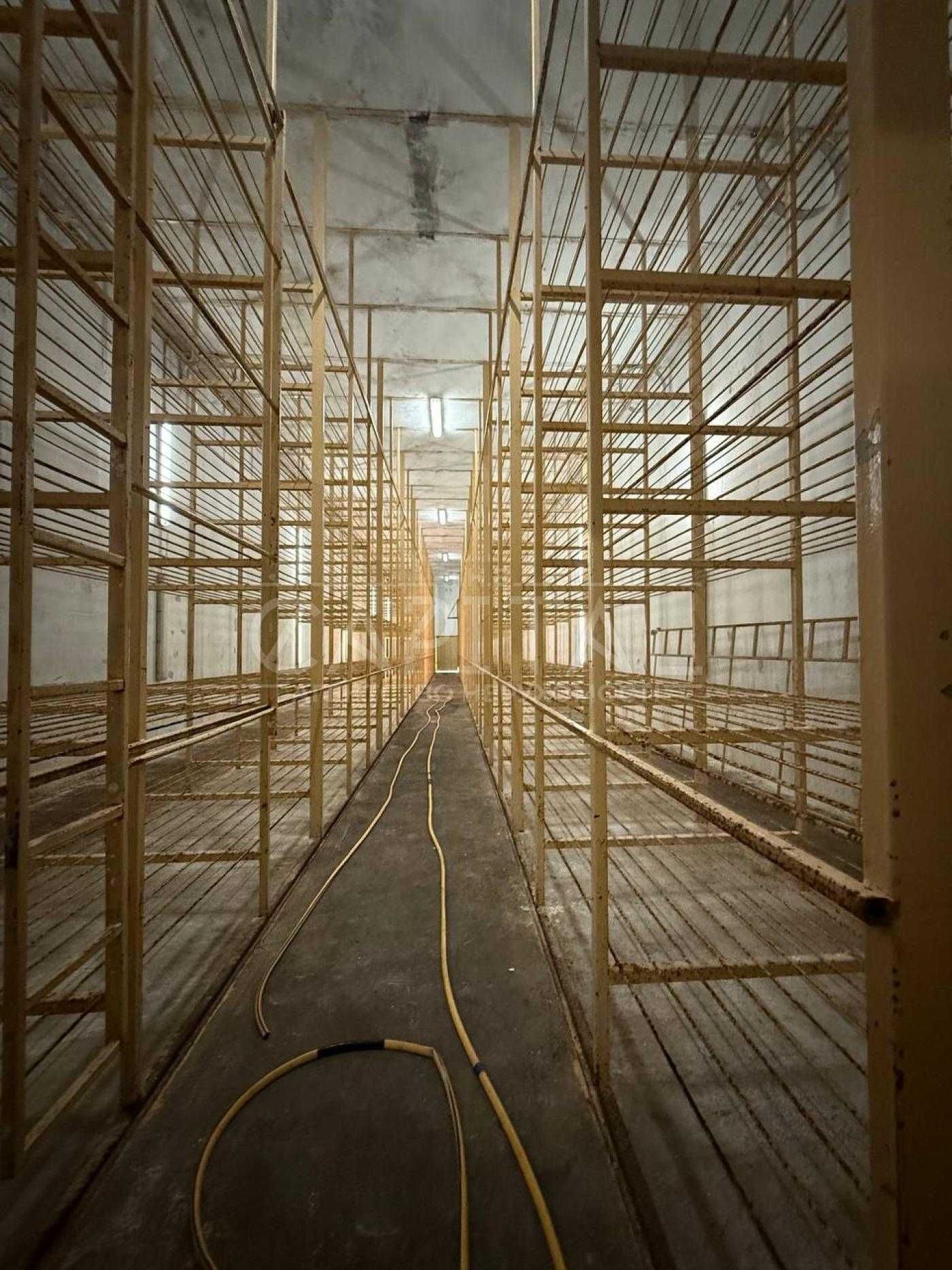 Універсальний виробничий комплекс 2320 м²/ Гостомельський напрям