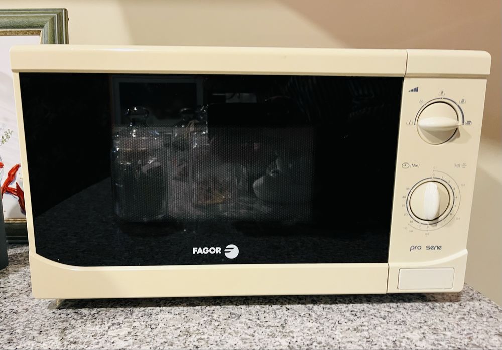 Microondas Fagor