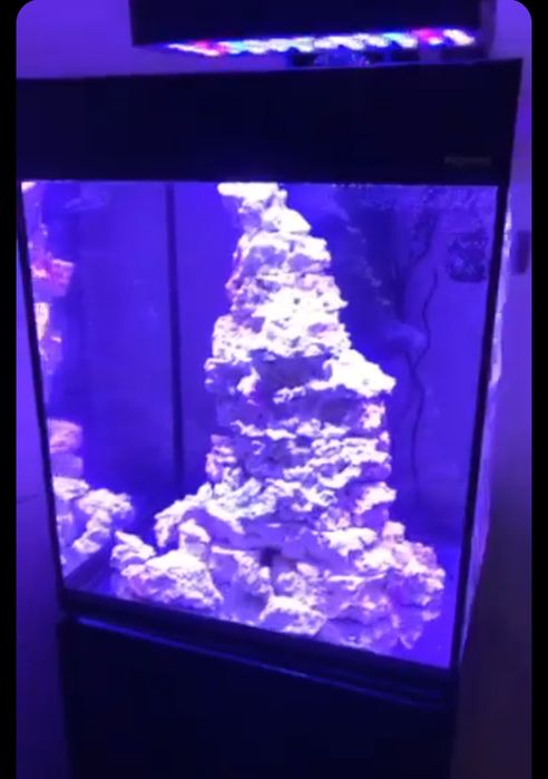 Skała akwarium morskie 25 kg reef