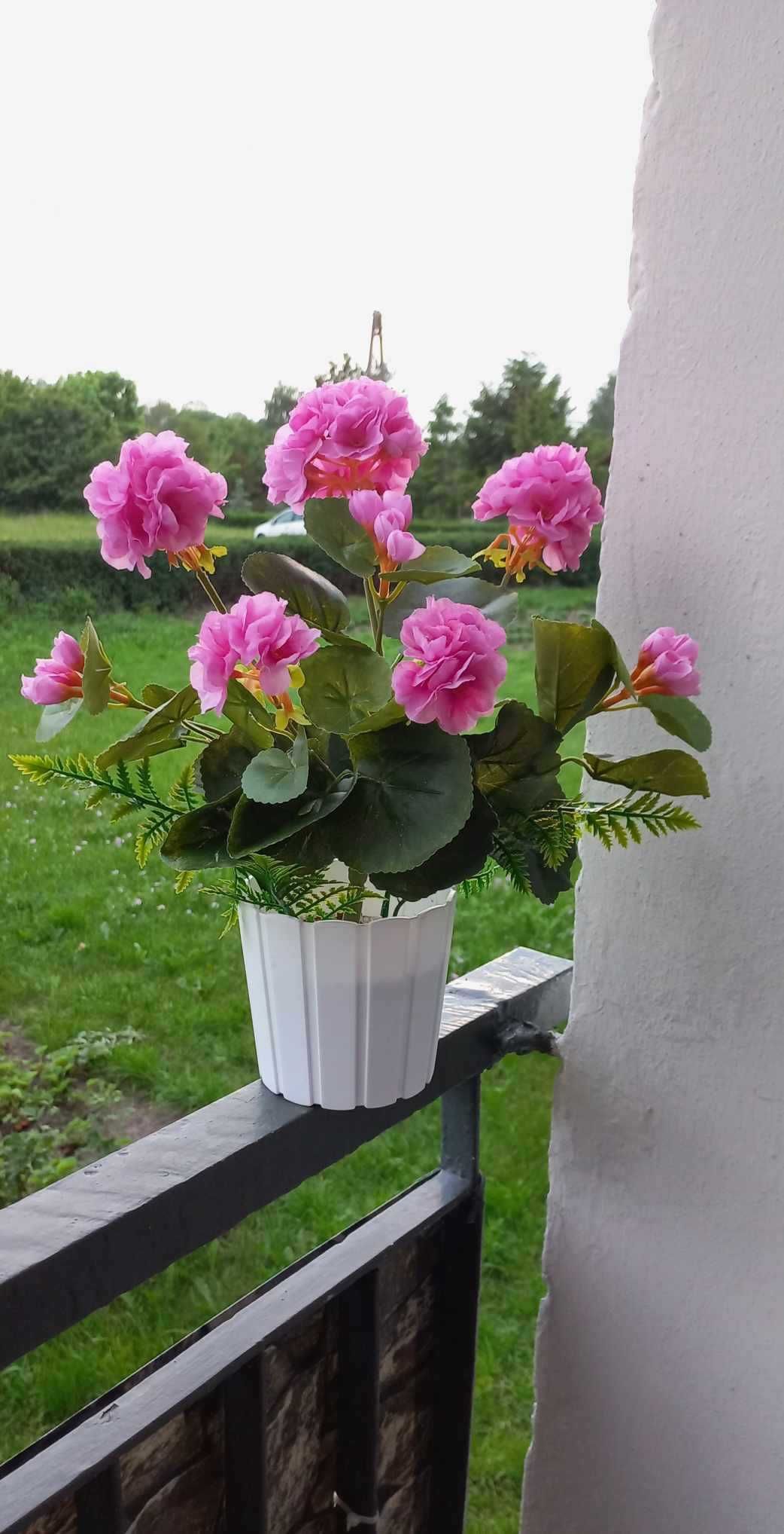 Trwała pelargonia z motylkiem,  w masywnej doniczce - jak żywa :)