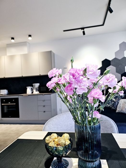 Apartamenty  Chilldziówka w Miłkowie z  sauną i z grillem Karpacz