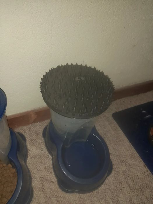 Tampa para Comedouro de Gato Anti-Abertura