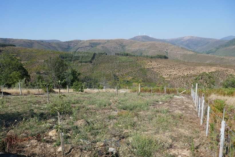Terreno de 2600 m2 com vista de encantar