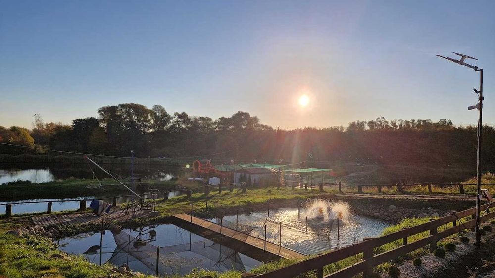 Ryby Karaś,Tołpyga,Pstrąg,Karp,Jesiotr,Sum,Sandacz,Szczupak,Węgorz