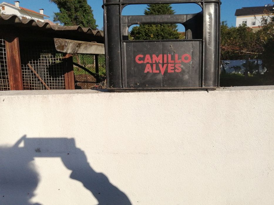 Grades de cerveja conjunto