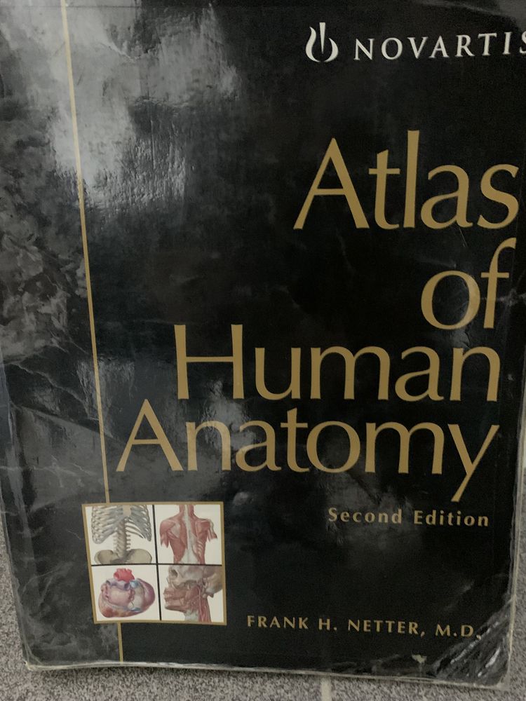 Atlas anatomia Gray e netter