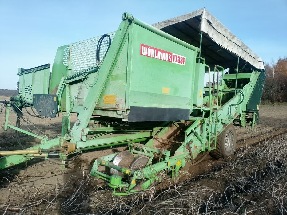 Kombajn do ziemniaków wuhlmaus 1733 sortownia ziemniaczany nie Grimme