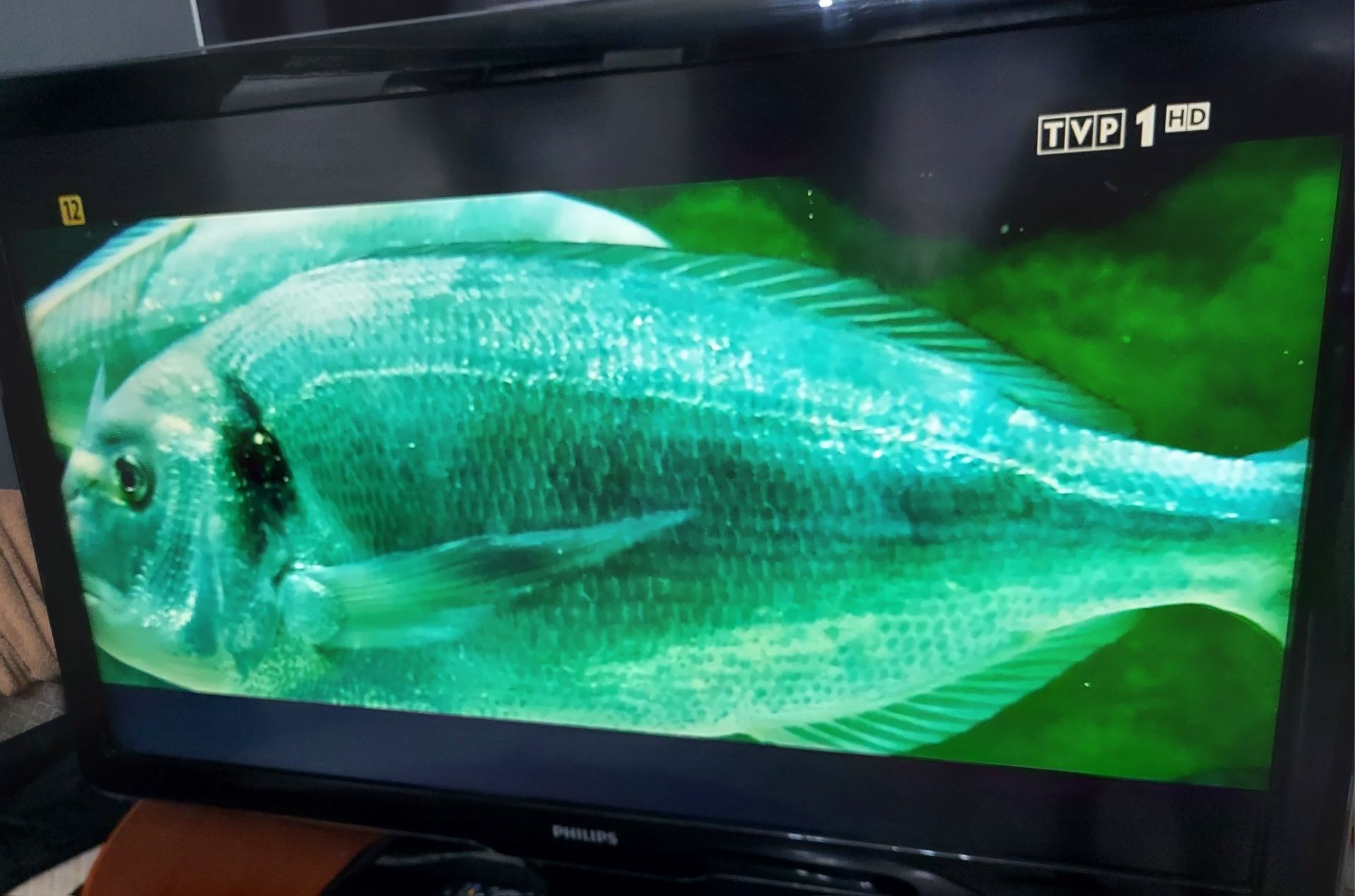 Telewizor philips 47"