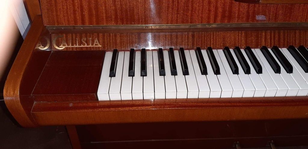 Pianino Calisia dwu pedałowe