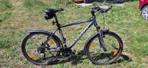 Rower Kellys Oxygen MTB 19,5"