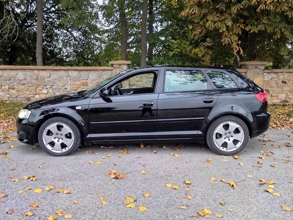 Audi A3 1.9 TDI BKC 2005r.