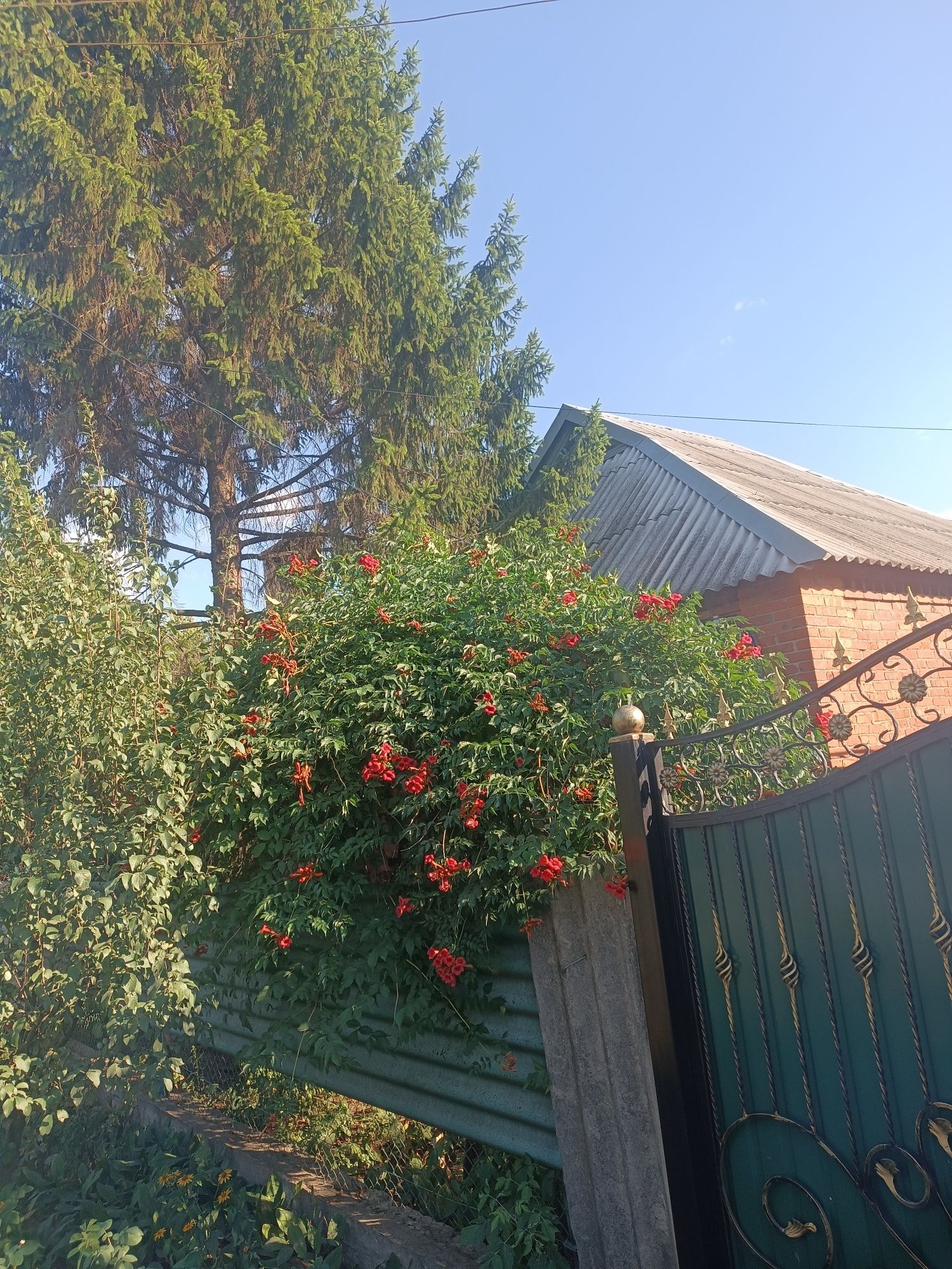 Продам дом,в связи с переездом