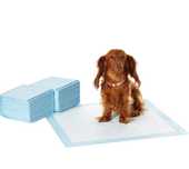 Capa para cães 50 uni