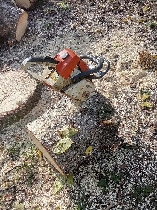 Prace ogrodnicze wycinki, usługi i wynajem rębaka