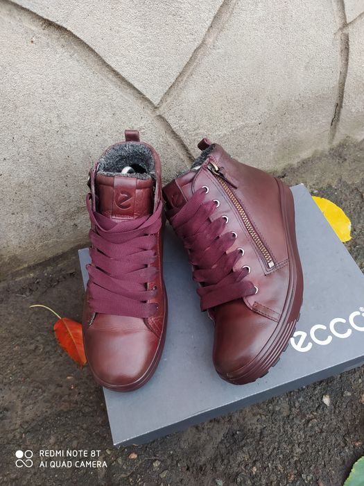 Ecco 37 36 ботинки жіночі зимові сапоги черевики чоботи взуття ессо