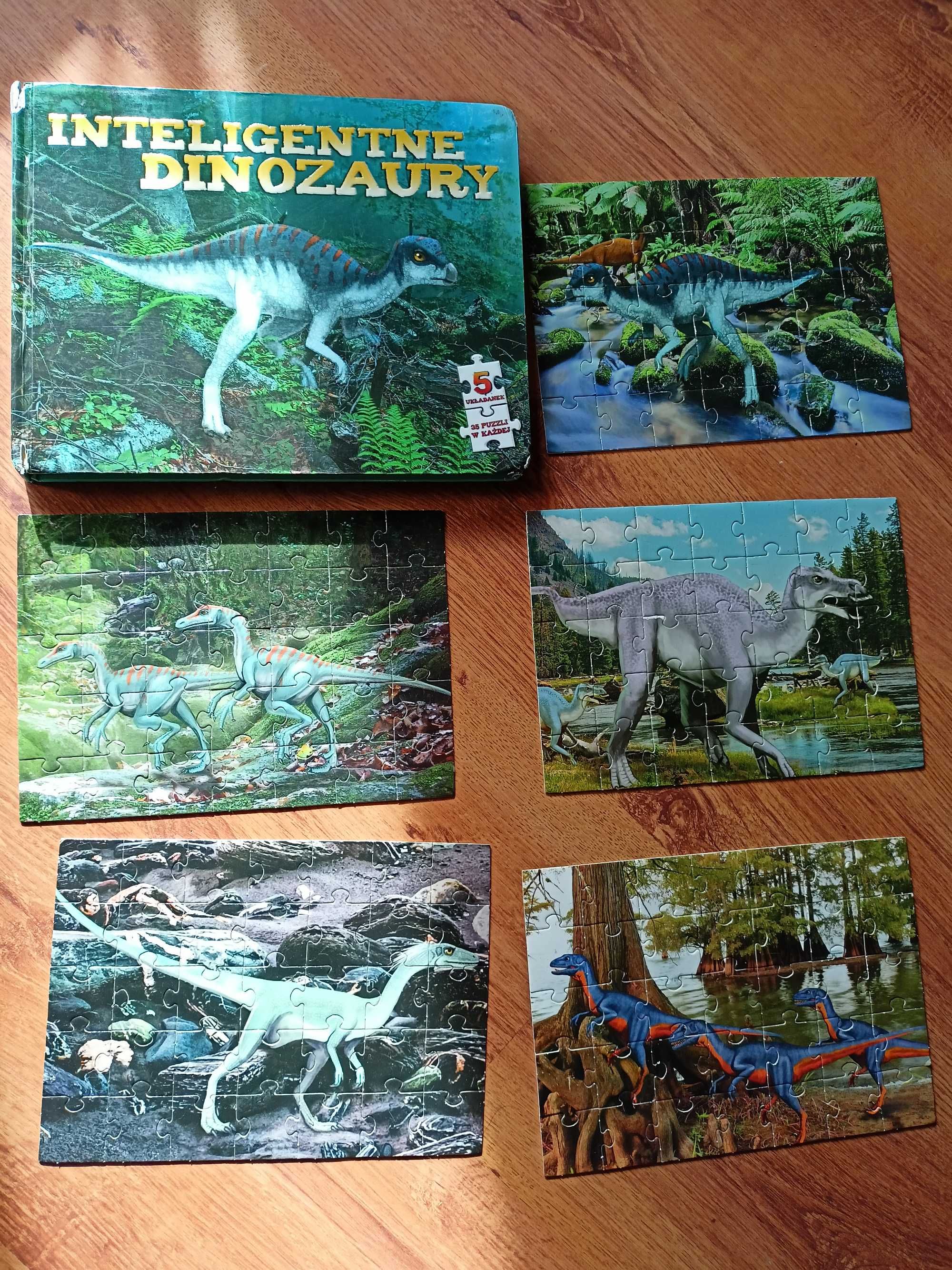 Książka Inteligentne dinozaury+ 5układanek