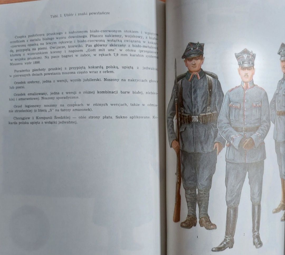 Barwa i broń sił zbrojnych Wielkopolski w latach 1919- 1920