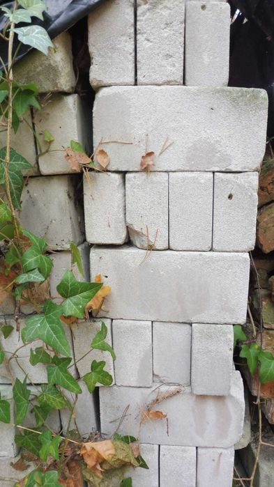 Cegła silikatowa ceramiczna Bloczki pustaki betonowe Oddam za darmo