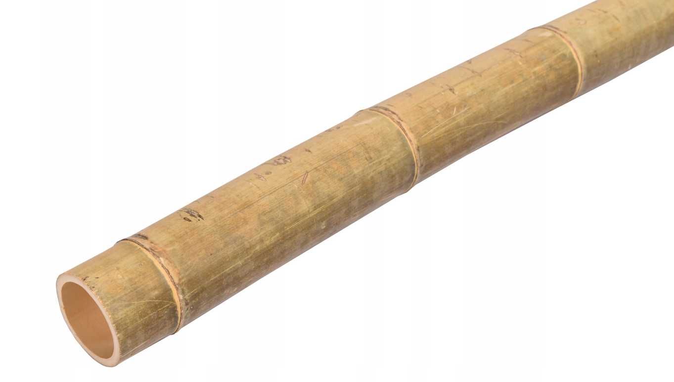 TYCZKA BAMBUSOWA ogrodowa bambus podpora 180 cm