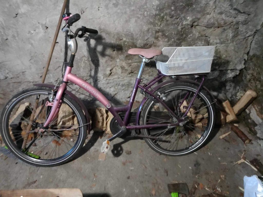 Rower batavus dla dziewczynki