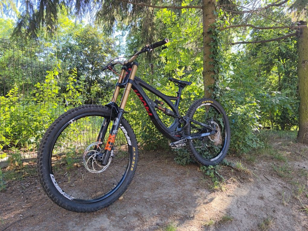 Pivot Phoenix m/l dh dw-link