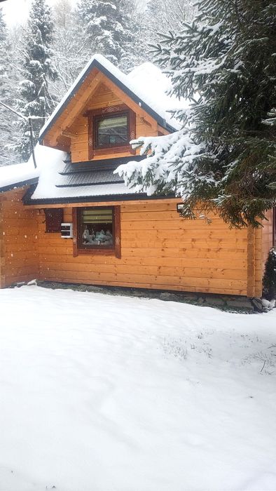 Chatka rzeczka Balia Sauna jacuzzi FERIE Brenna 10-12os Domek noclegi