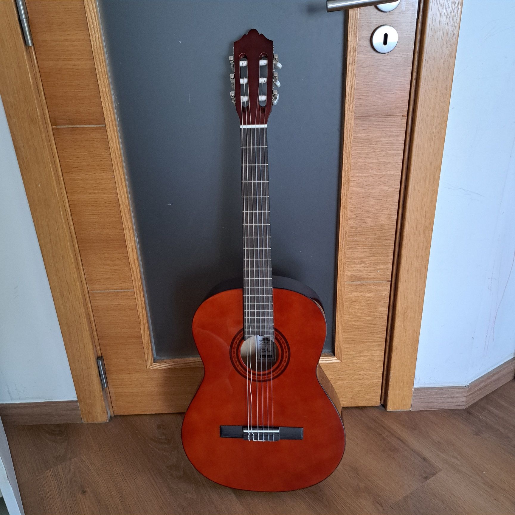 Guitarra Clássica c/ saco