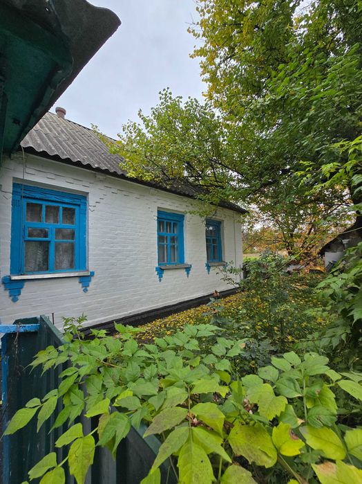 Продаж будинку в с. Троїцьке